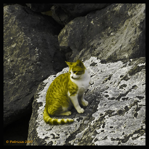 Image Hosted by ImageShack.us